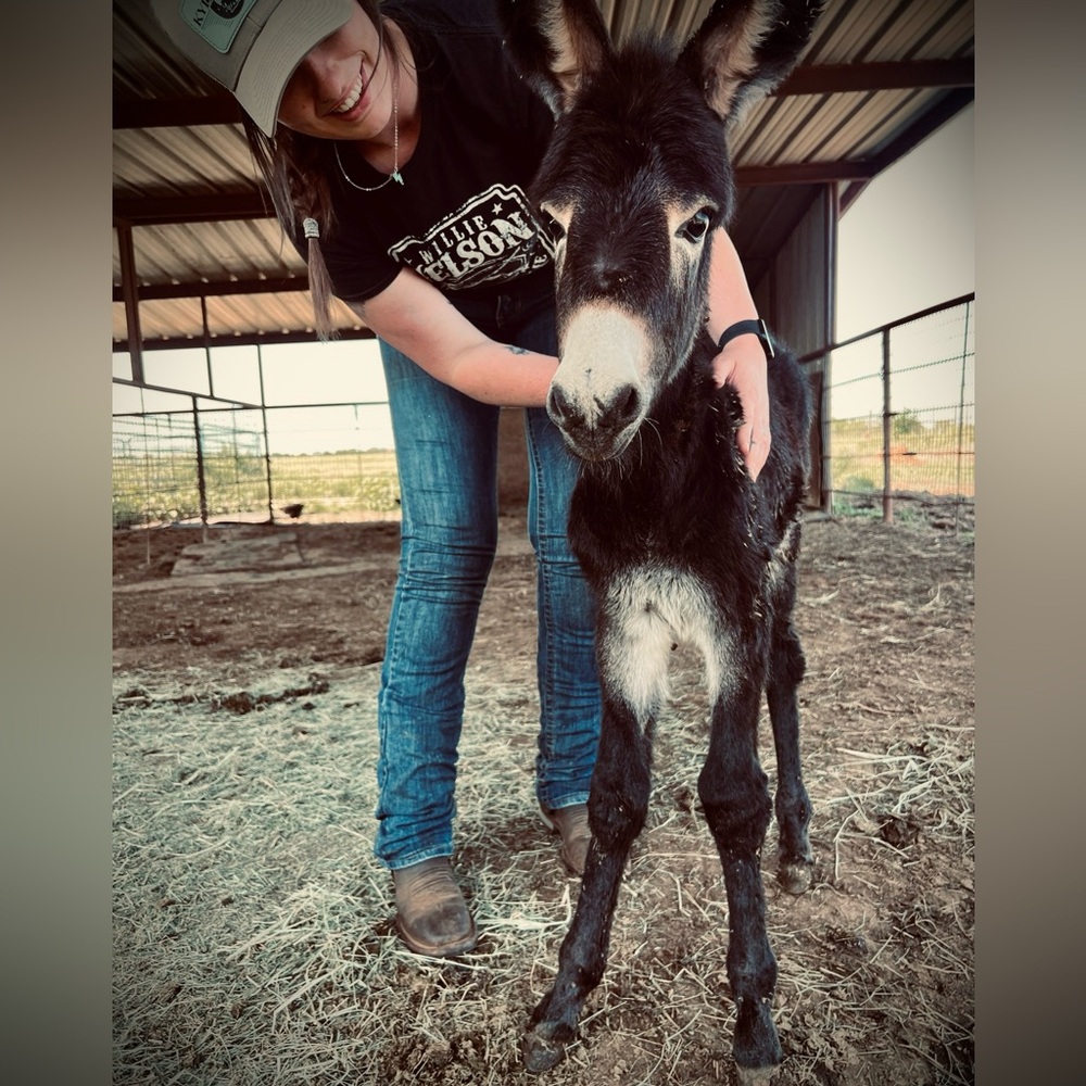 Meet your Posher, Becca